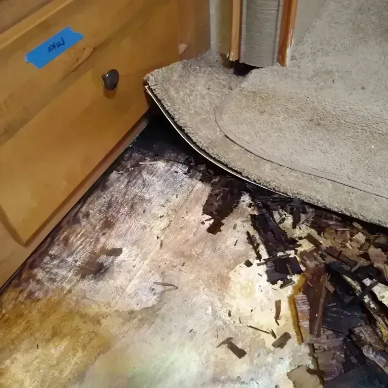 Wood Floor Water Damage in Escambia County, FL